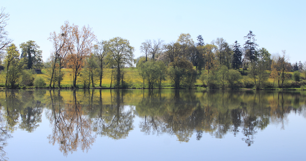 etang-du-moulin.jpg