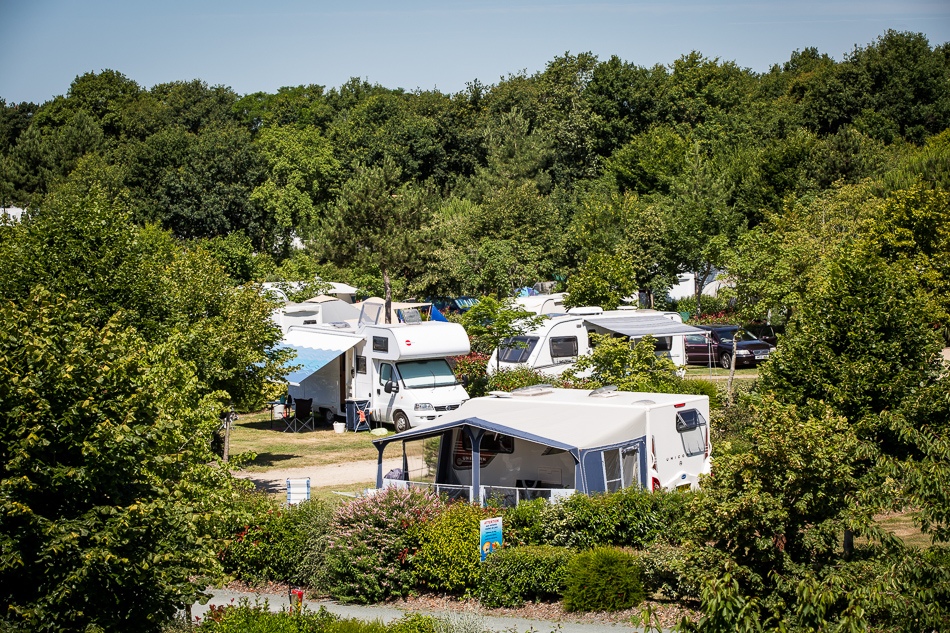 le-pin-parasol-camping-nature.jpg