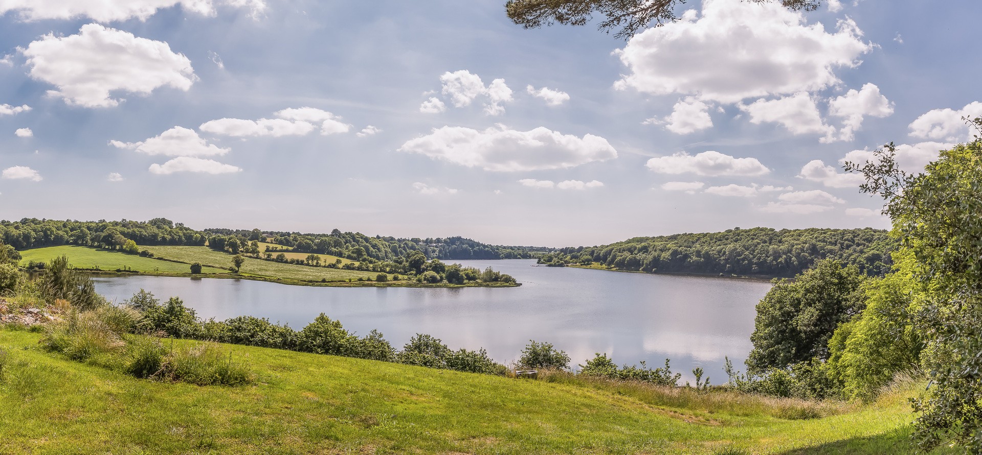 yellohpinparasol781679pano-paysage.jpg