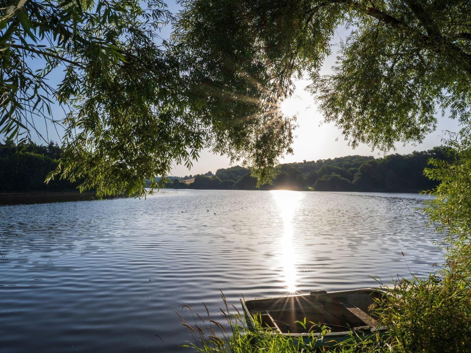 vendee-tourisme-lac-du-jaunay.jpg