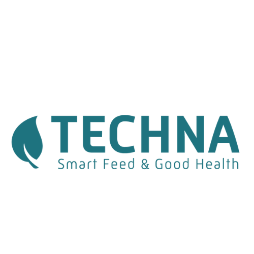 Logo TECHNA