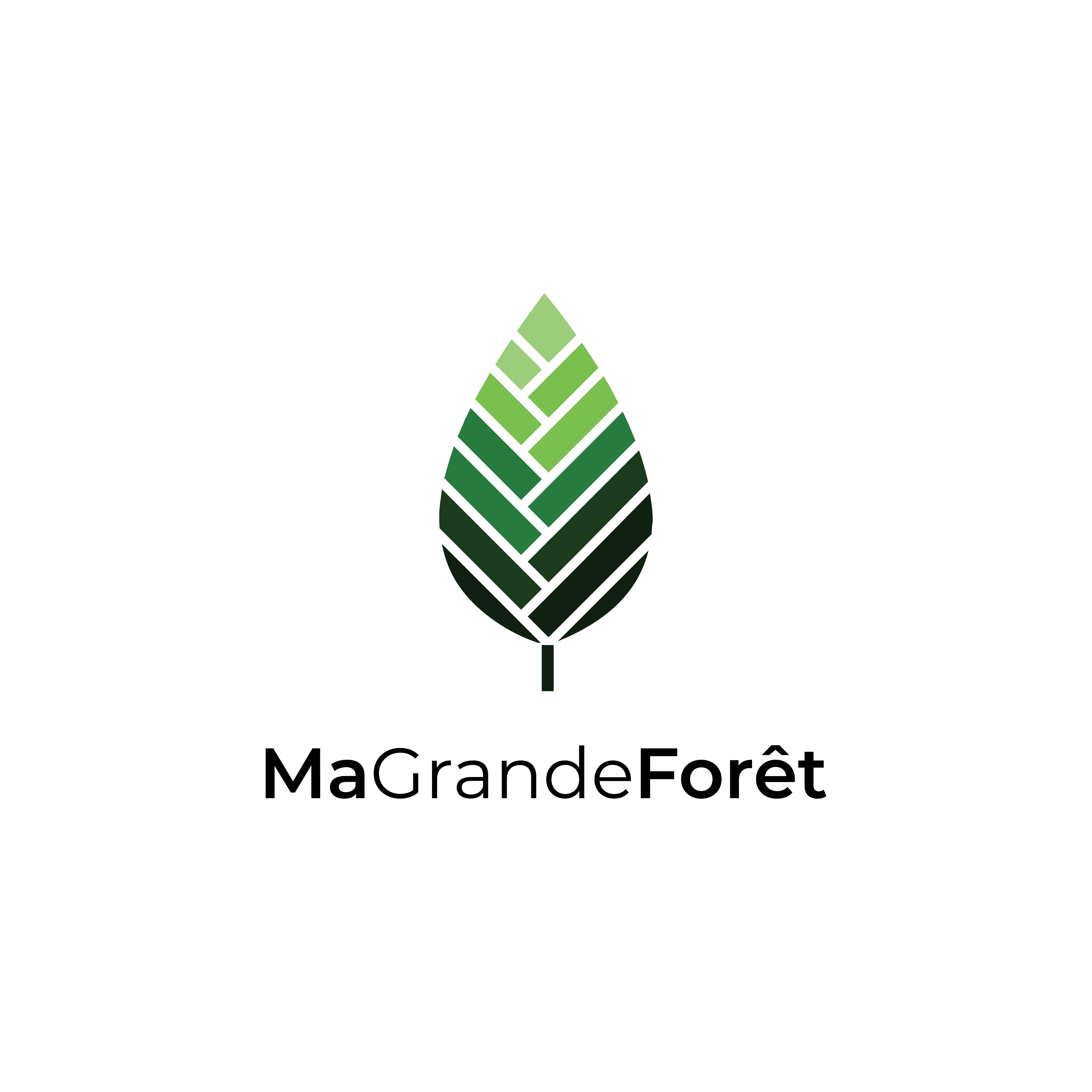 Logo Nos Grandes Forêts