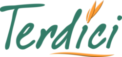 Logo TERDICI