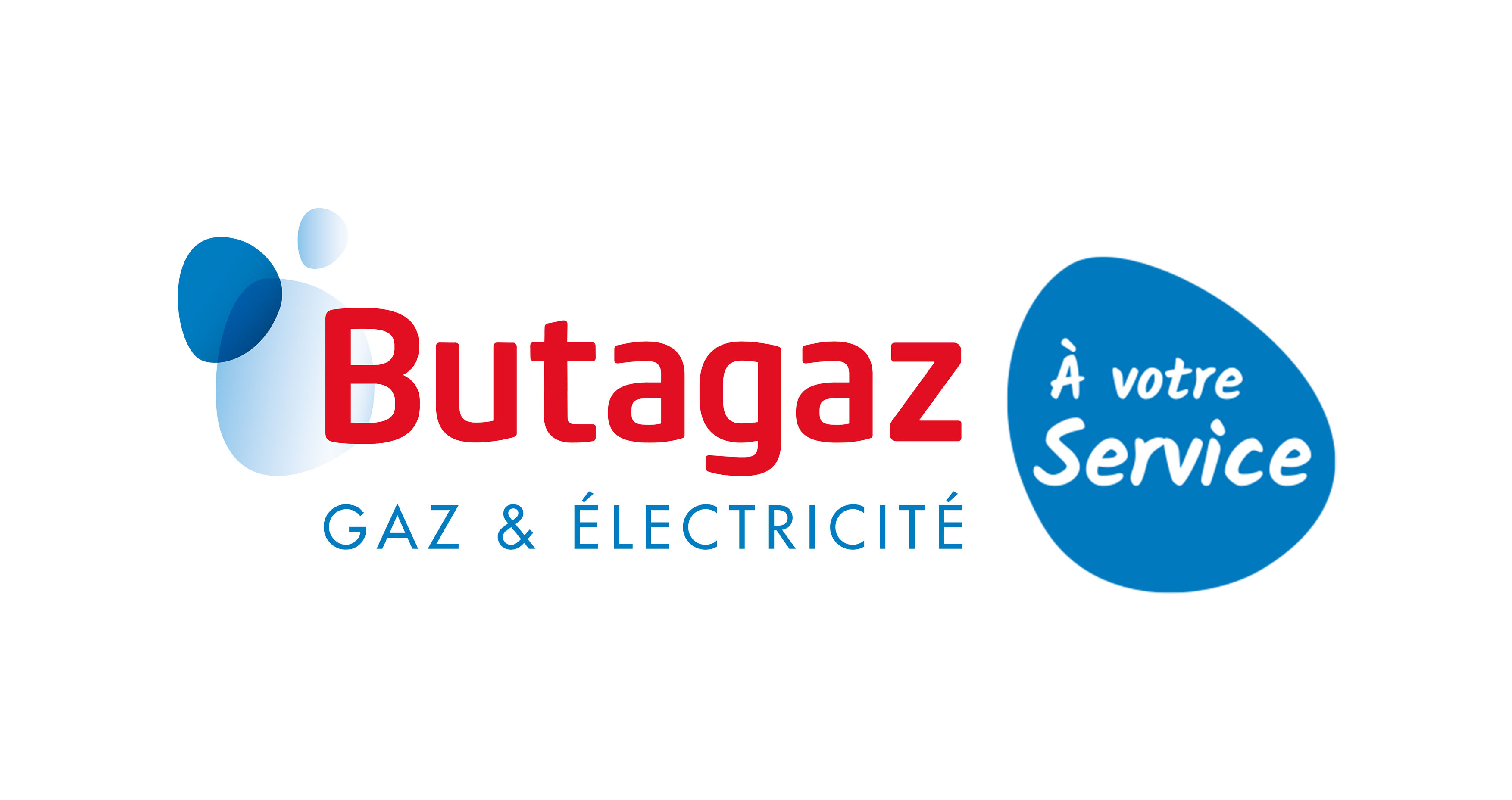 Logo BaVS