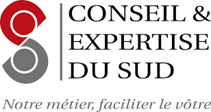 Logo CONSEIL ET EXPERTISE DU SUD