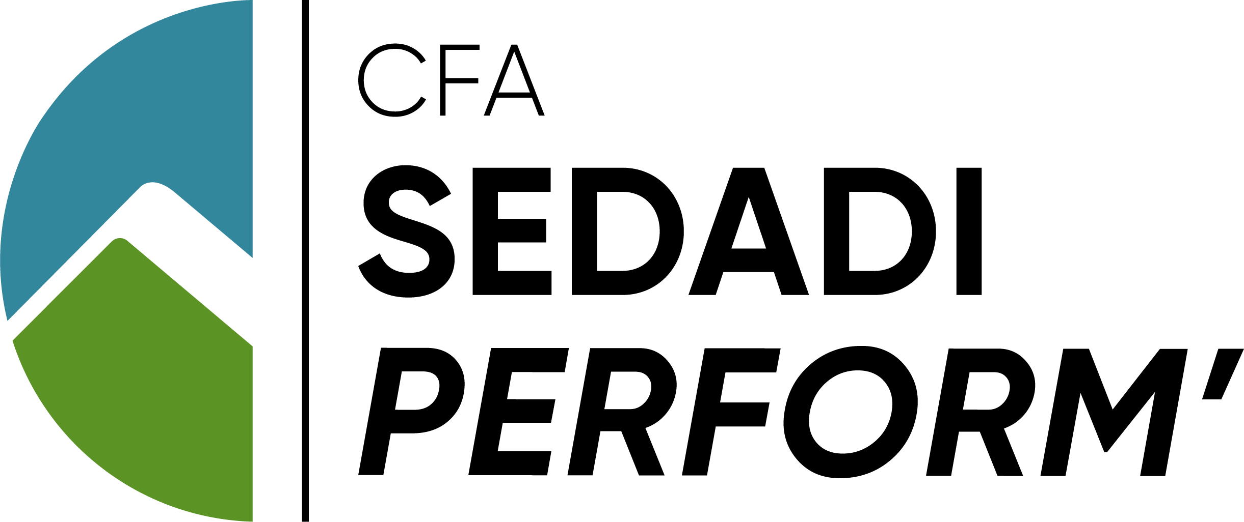 Logo SEDADI PERFORM'