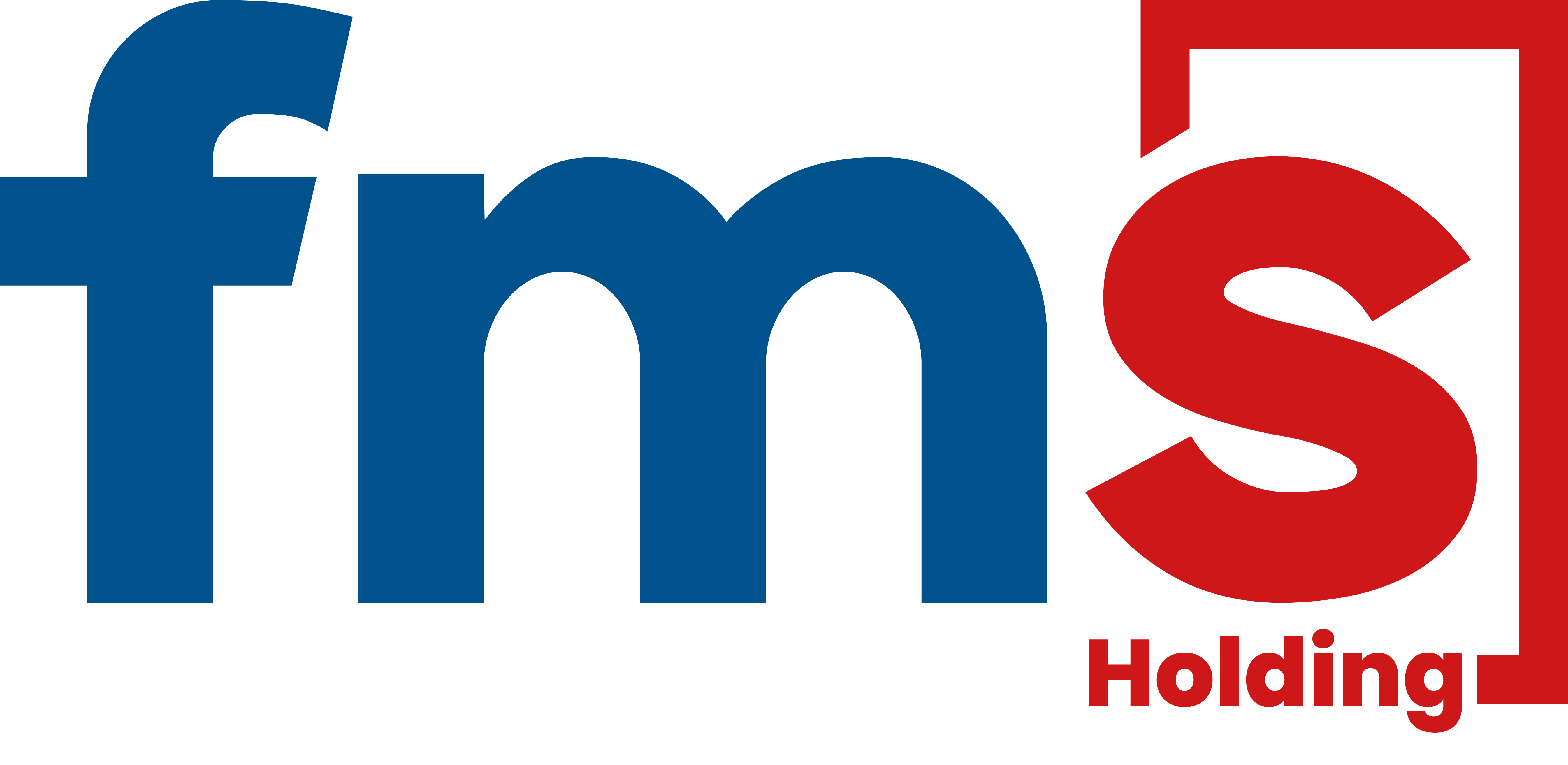 Logo FMS Groupe