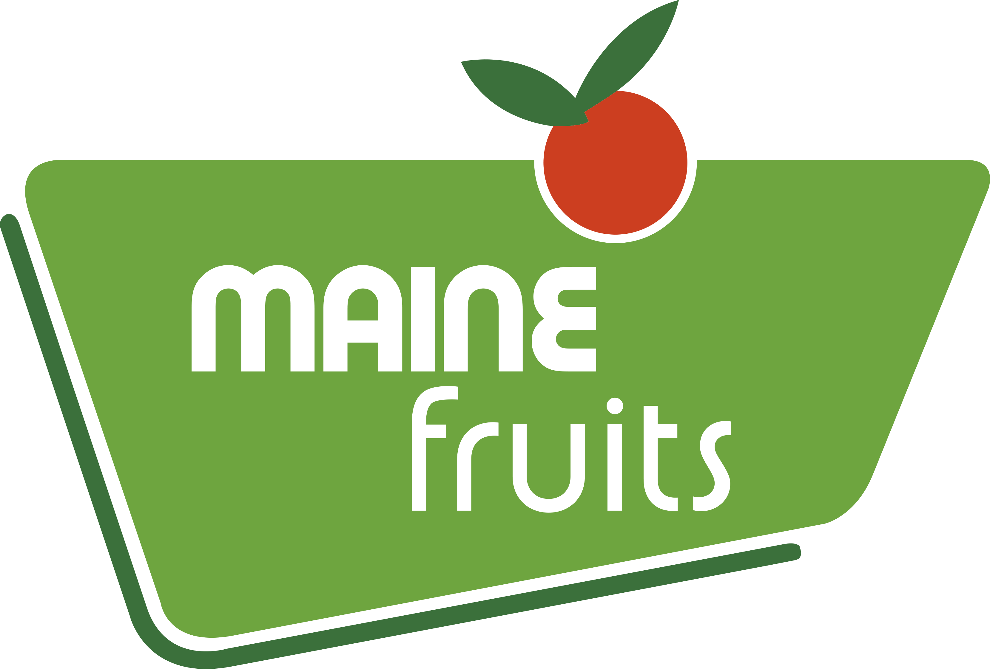 Logo MAINE FRUITS