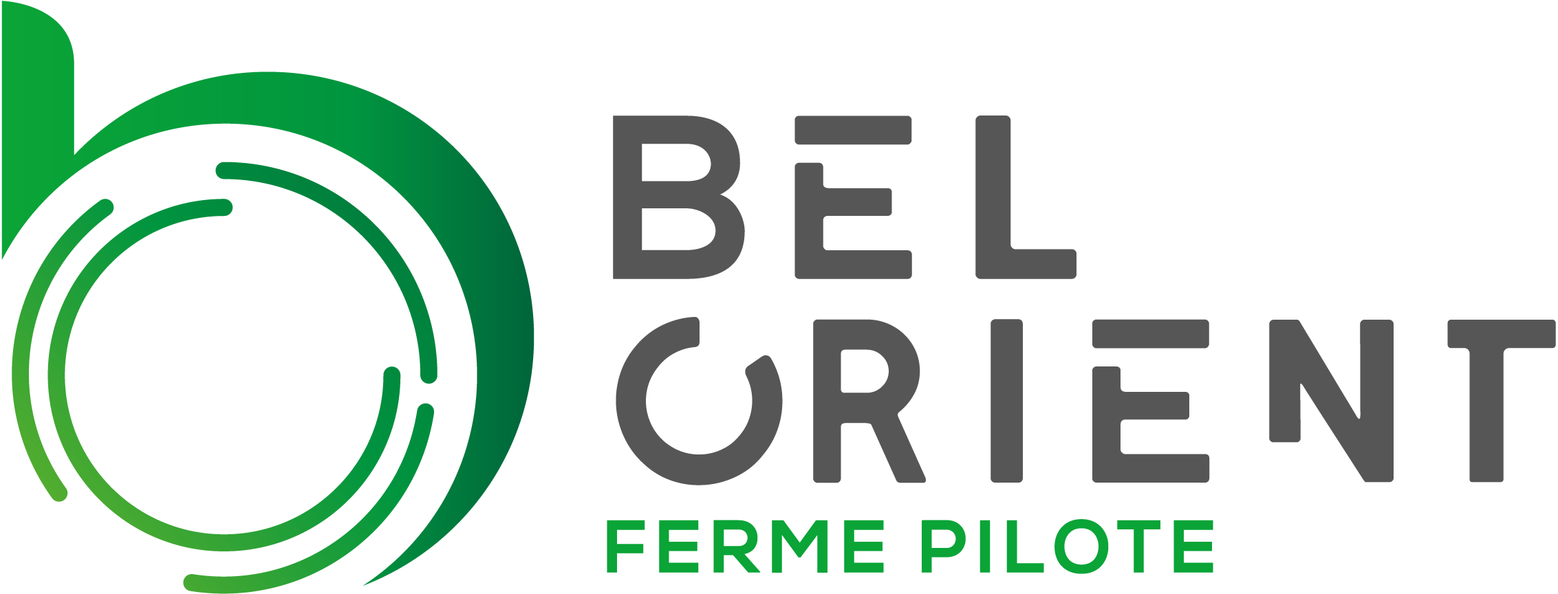 Logo Bel Orient