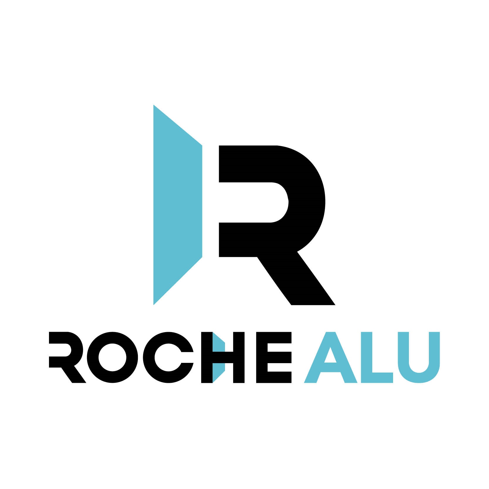 Logo Roche Alu