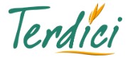 Logo TERDICI