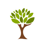 Logo SCHAEFFER NICOLAS SAS