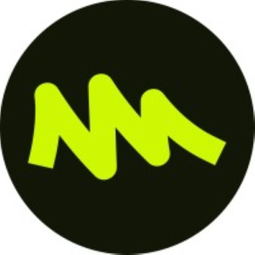 Logo Netmedia Group