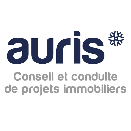 Logo AURIS