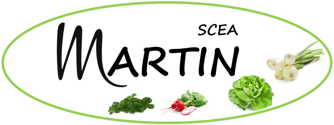 logo de SCEA MARTIN