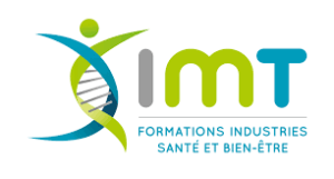 Logo Groupe IMT - Lille