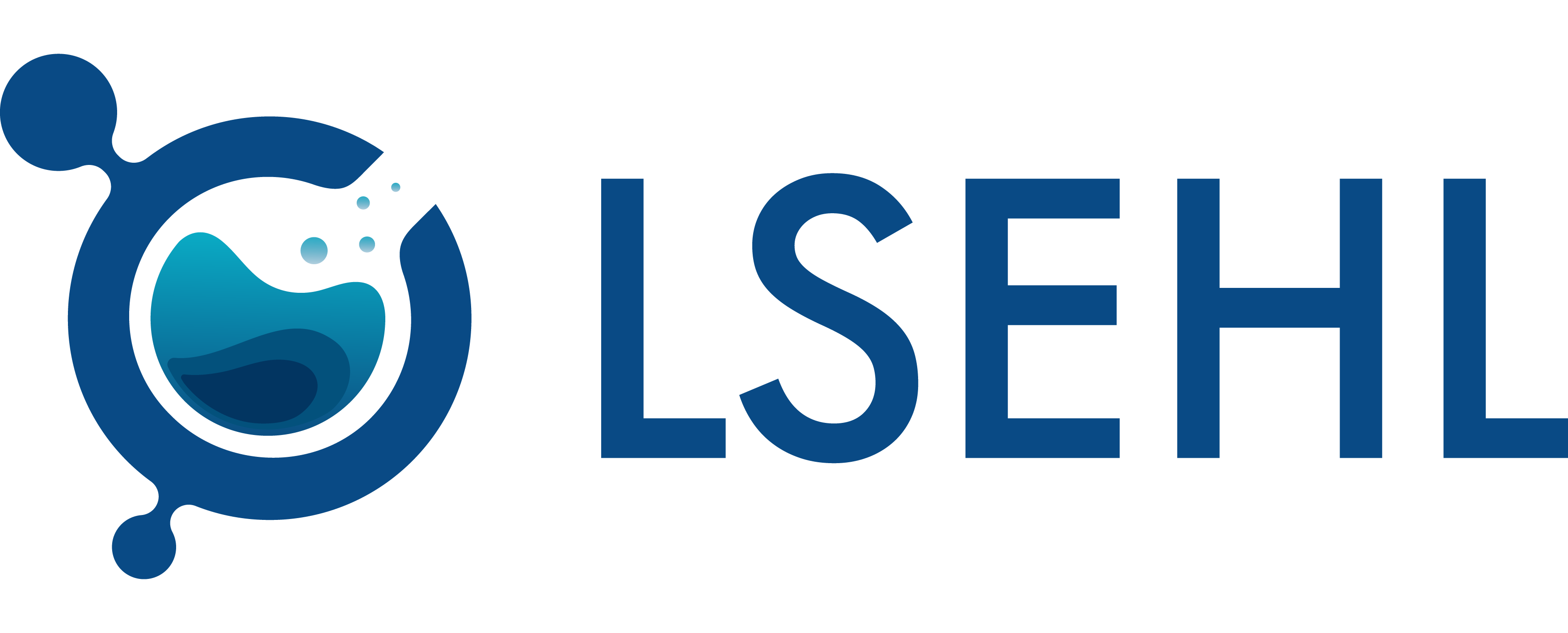 Logo Carso LSEHL