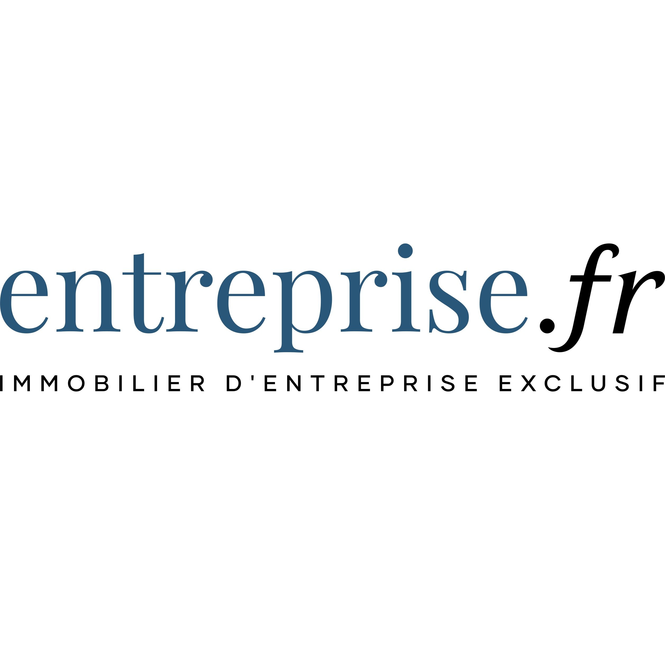 Logo Entreprise.fr